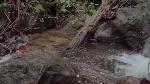 Mountain river in tropical rainforest. Rapid waterfall in creek. Peaceful stream flows over rocks an
