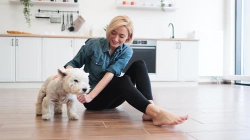Hembra acariciando a Terrier mientras descansa después del trabajo en casa