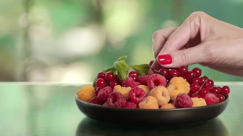 Bowl of Fresh Red Currants and Raspberries
