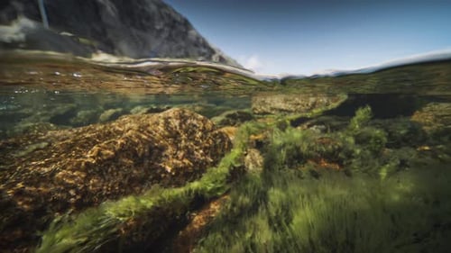 Vue panoramique de la rivière peu profonde au fond rocheux. De longues herbes visqueuses flottent dans le cristal