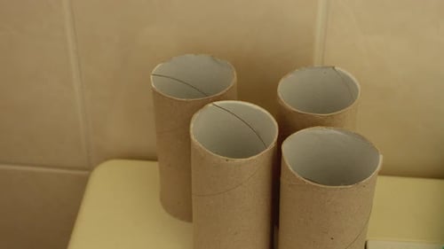 close up shot of the few empty remains of toilet roll.