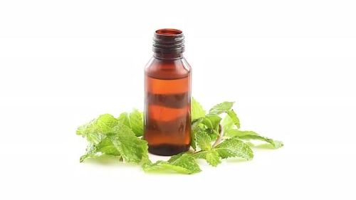 Essential Oil and Fresh Mint on White Surface