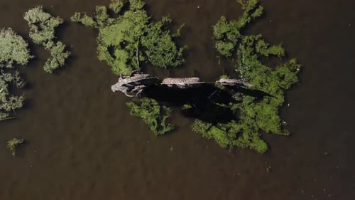 Pond captured from above by drone