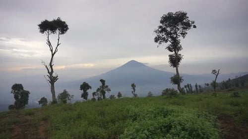 very beautiful natural views with clear skies in the morning with views of Mount Cikuray