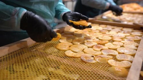 Proceso de elaboración de frutos secos. Trabajador preparando reyezuelo seco en una fábrica de frutas
.