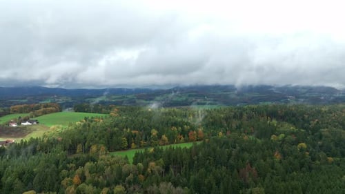 Autumn Forest With Fog In Early Morning - Aerial Panoramic