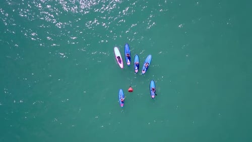 Paddle Boarders Enjoying a Day on the Water
