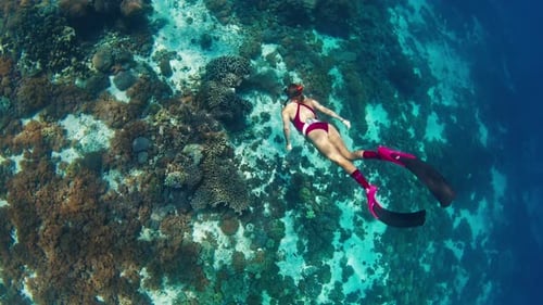 Woman Freediver Swims Underwater Along the Vivid Coral Reef in the Komodo National Park in Indonesia