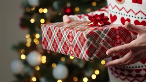 Wrapped Gift Held in Front of Christmas Tree