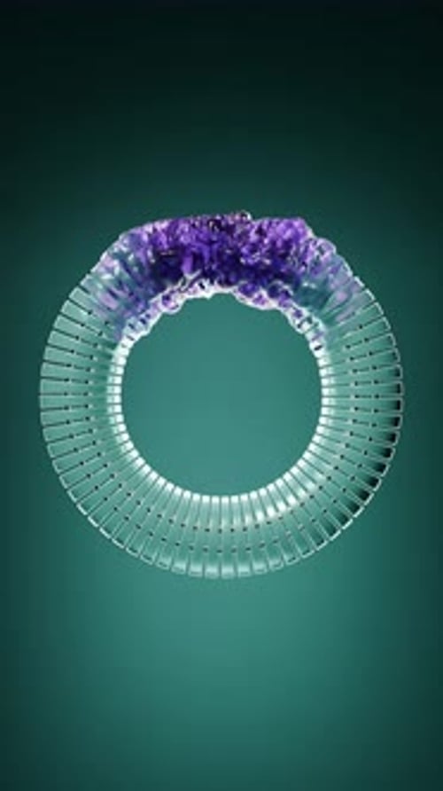 Renderização 3D do caminho de deformação do toro