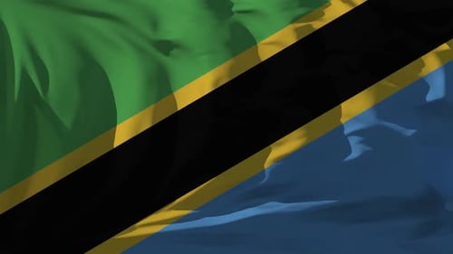 Tanzania Flag Loop