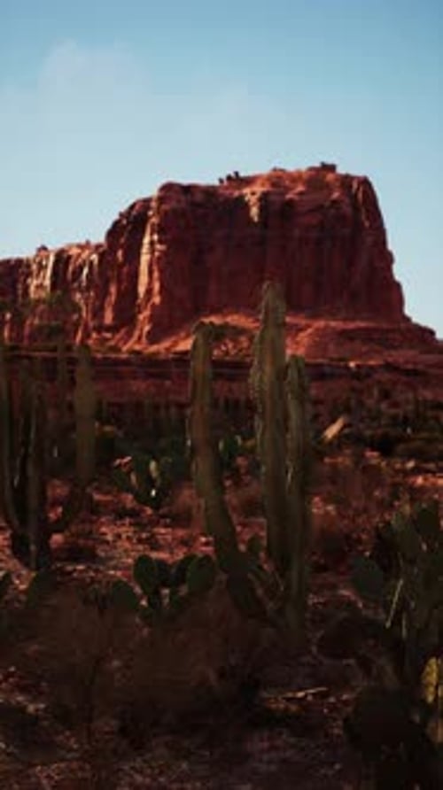 Desert Scene With Distant Mountain