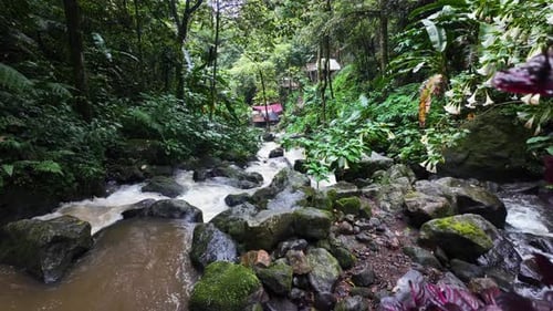 Revealing Jungle waterfall Rainforest clear water flowing in the river through rocks
