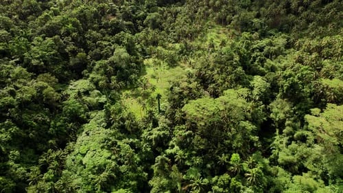 Aerial View, Landscape of Tropical Island, Rainforest and Green Volcanic Hills, Drone Shot
