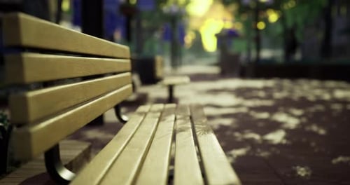 Wooden Benches in a Serene Park Setting During the Golden Hour