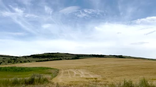 cinematic video from car of coniferous forest, mountain view, meadow and field,