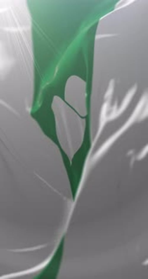 Vertical Waving Nigerian Flag