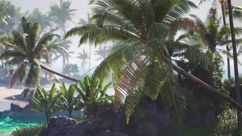 Lush Tropical Landscape with Palm Trees By the Serene Beach at Sunrise