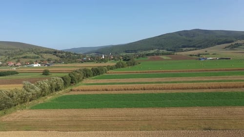 Aerial Drone View of Agriculture Field, Food Industry Concept by Drone