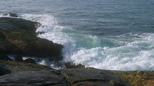 Waves Crash Against Rocky Coast Dynamic Ocean Splashes on Boulders Creating Foam Natural Seaside