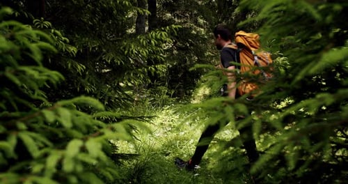 Man Hiking or Camping in Wilderness Walk on Path or Trail