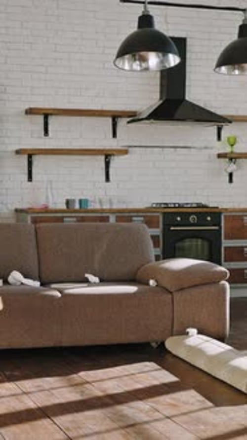 Pretty Woman Moves Into New Apartment Arranges Furniture Folds Things Cleans the House Timelapse