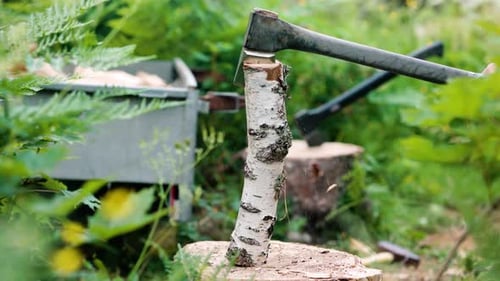 Close side view of log of birch wood being cut with axe, slow pan