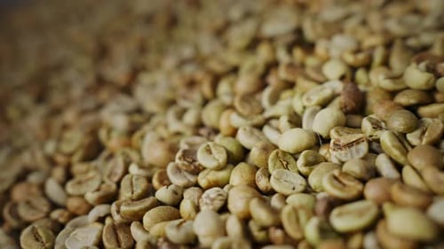 Natural Organic Green Coffee Beans