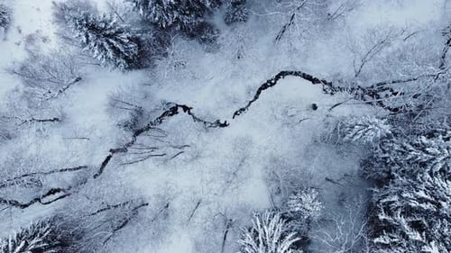 Stream In The Snowy Forest