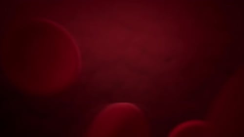 Fluid Animation of Red Blood Cells Moving Through a Vein