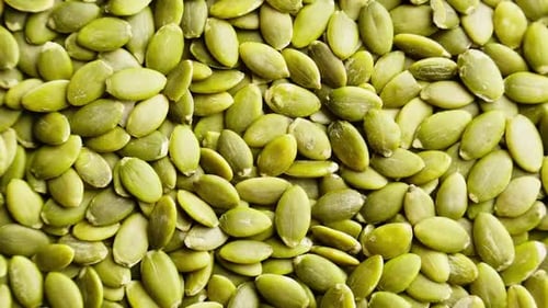 Pile of Fresh Green Pumpkin Seeds Close Up