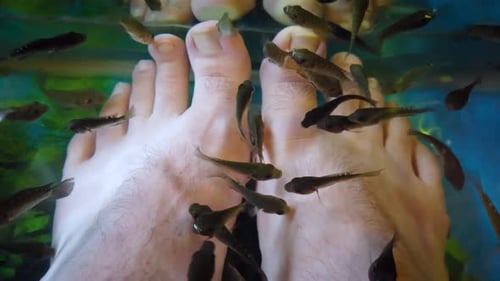 Mann hält Füße in einem mit Rufa Garra-Fischen gefüllten Wassertank in chinesischer Spa-Pediküre Hautpflegebaum