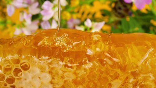 Ströme von goldenem Honig tropfen und fließen auf Waben vor dem Hintergrund sommerlicher Wildblumen.