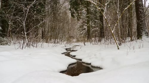 Winterwaldbach mit leichtem Schneefall.