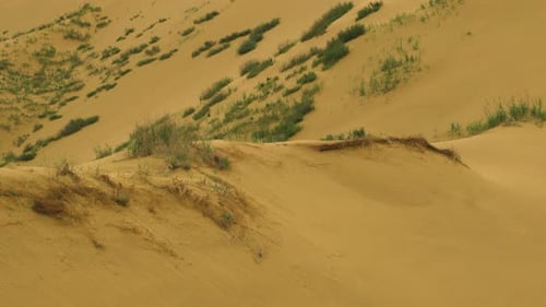 Sarykum est la plus grande dune de sable d'Europe. Réserve naturelle du Daghestan. Dune de sable du Caucase