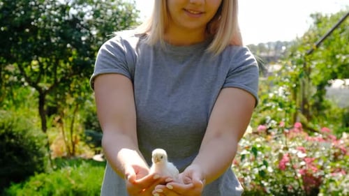 Young Woman Holds Chick in Outdoor Setting