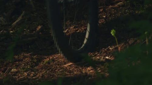 Mountain bike wheels ride through thick dust in a forest in slow motion