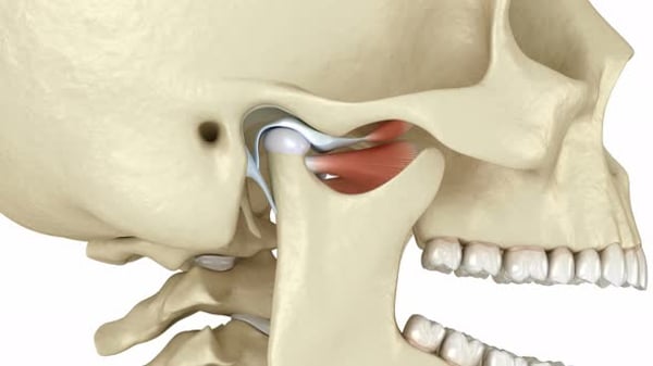 Detailed TMJ Anatomy with Jaw Movement 3D Animation, Backgrounds Motion ...