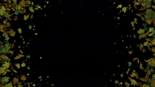 Dynamic Full Screen Animated Autumn Leaves Transition Outer Edges In From Inner Out