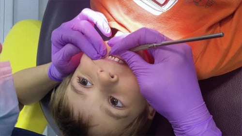 A Doctor Dentist in a Medical Mask and Purple Rubber Gloves Puts a Seal on a Little Boy Toddler