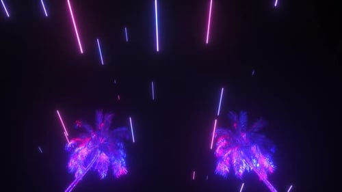 Edm Club Vj Loops