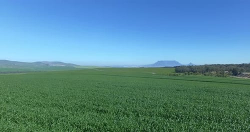 4K aerial drone footage of green fields stretching out into the distance during the day
