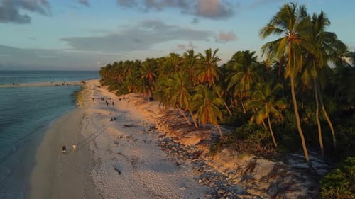 Tropical Coastline with Palm Trees on Sunset in Maldives