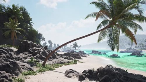 Tropical Beach in Tahiti with Leaning Palm Trees and Crystal Clear Waters