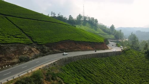Vue aérienne par Drone des collines vallonnées de Munnar couvertes de luxuriantes plantations de thé vert