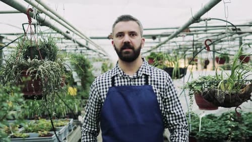 Smiling Man in Greenhouse Standing Among Plants