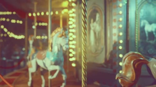 Cherished Recollections of Lively Carousel Spins and Shining Images