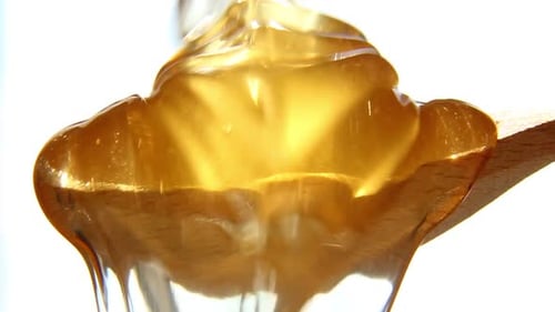 Fresh Honey is Quickly Poured Onto a Wooden Spoon on a White Background Food