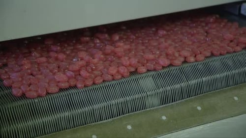 finished lollipops fall on a conveyor belt in a candy factory