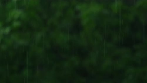 Heavy Rain Pouring Shower Thunderstorm in Summer Green Trees on Background Windy Rainy Weather Close